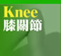 膝關節Knee